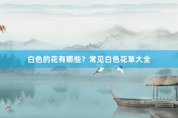 白色的花有哪些？常见白色花草大全